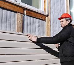 Best Siding Maintenance  in Palmview, TX